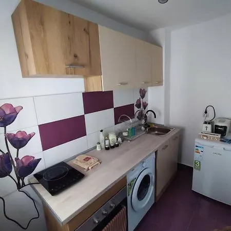 Boia's Place - Skyline דירה טימישוארה