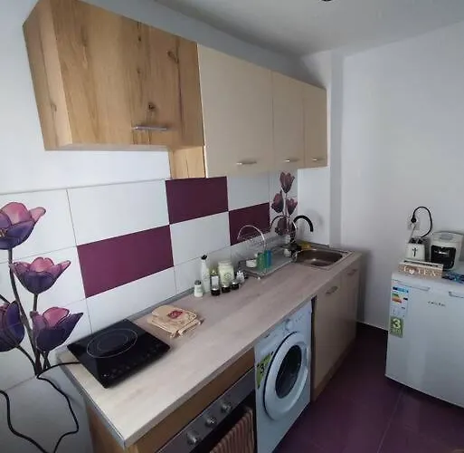 Boia's Place - Skyline Apartment Timisoara